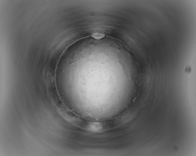 X0000112830091200908211227