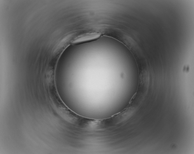 X0000112830092200908211227