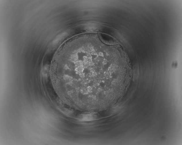 X0000112830093200908211227