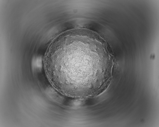 X0000112830094200908211227