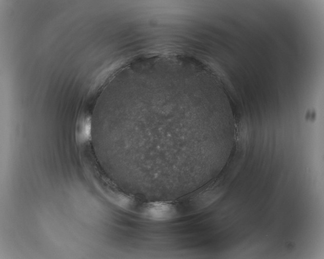 X0000112830095200908211227