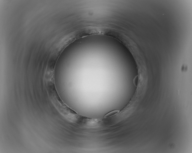 X0000112830096200908211227