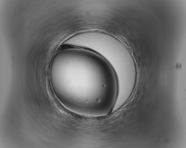 X0000112830097200908211226