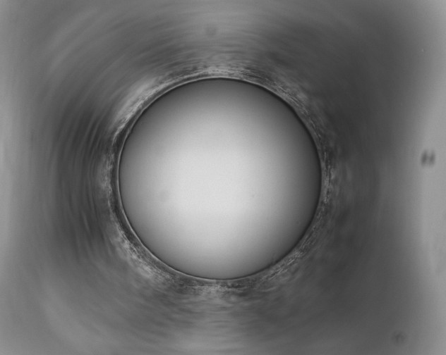 X0000112830098200908211226