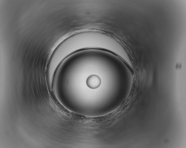 X0000112830100200908211226