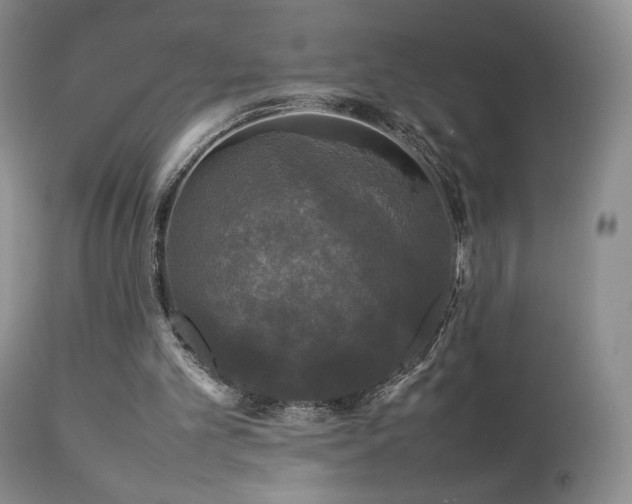 X0000112830101200908211226