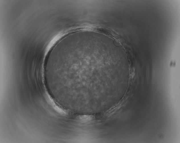 X0000112830102200908211226