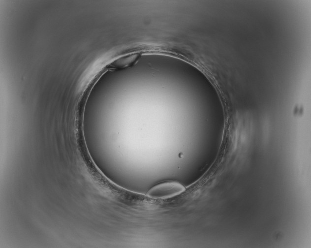 X0000112830103200908211226