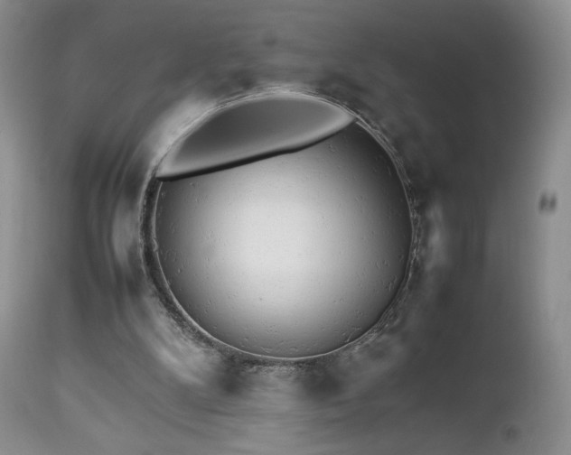 X0000112830104200908211226