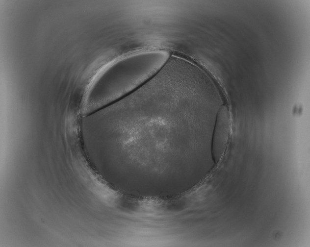 X0000112830105200908211226