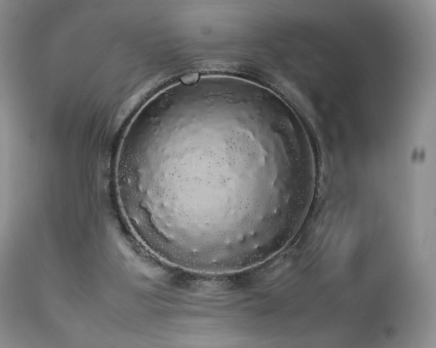 X0000112830107200908211226