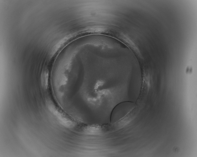 X0000112830110200908211226