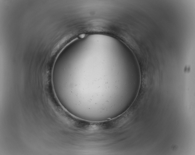 X0000112830111200908211226