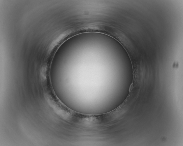 X0000112830112200908211226