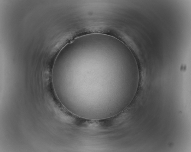 X0000112830113200908211226