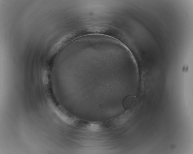 X0000112830114200908211226