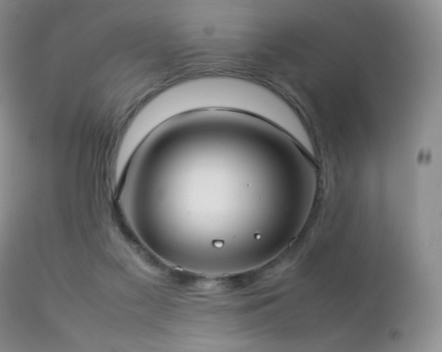 X0000112830117200908211226