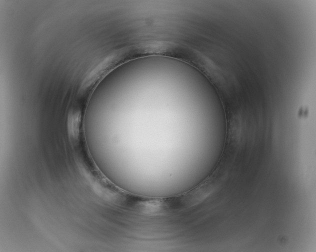 X0000112830118200908211226