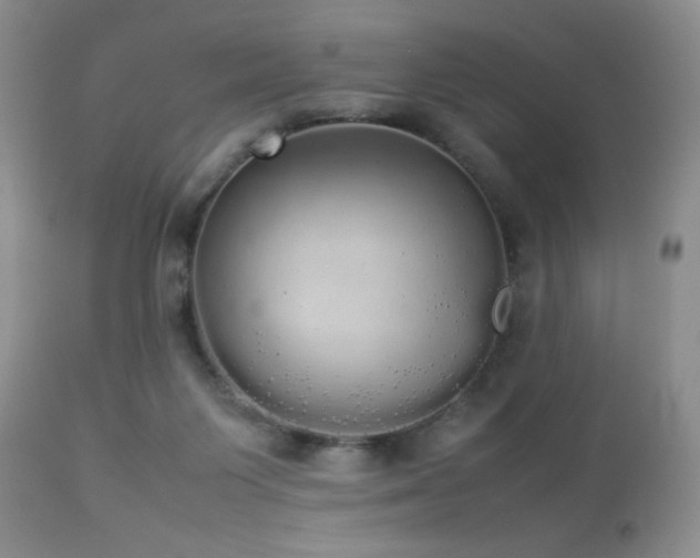 X0000112830119200908211226