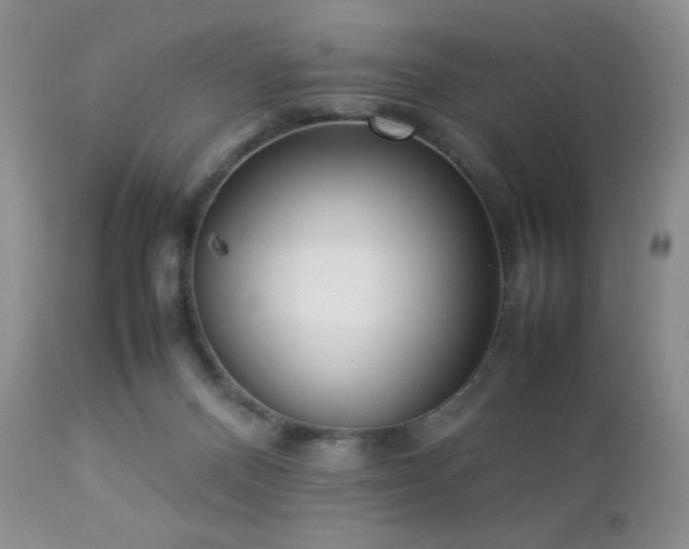 X0000112830120200908211226