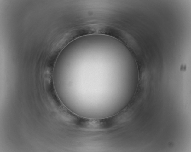 X0000112830121200908211226