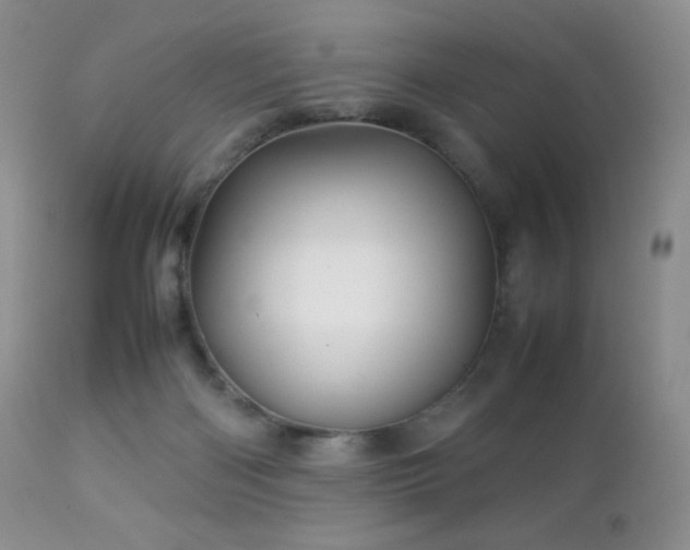 X0000112830122200908211226