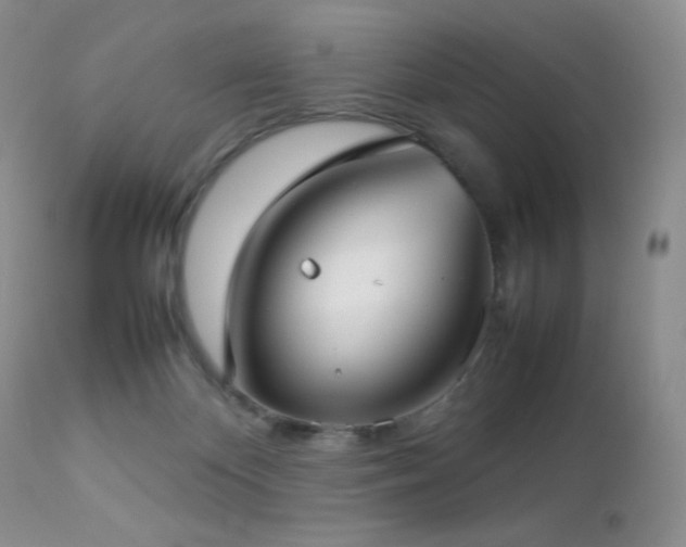 X0000112830124200908211226