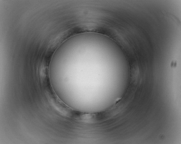 X0000112830126200908211226