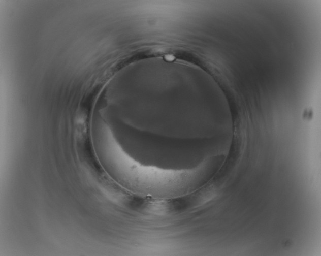 X0000112830127200908211226