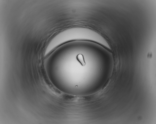 X0000112830128200908211226