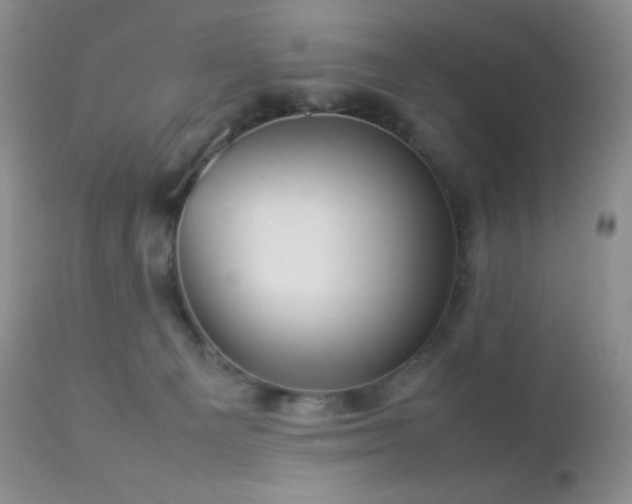 X0000112830129200908211226