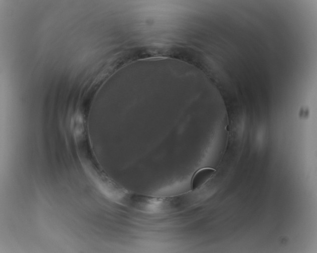 X0000112830130200908211226