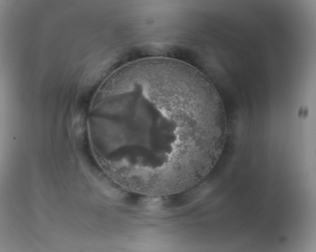 X0000112830131200908211226