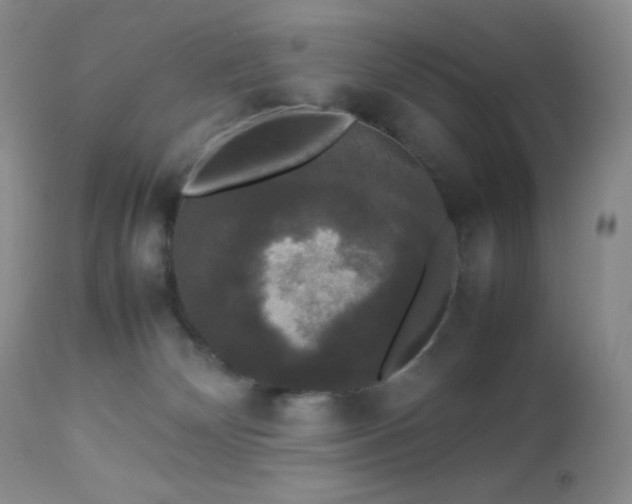 X0000112830132200908211226