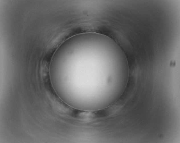 X0000112830133200908211226