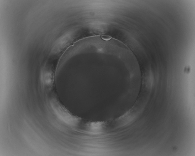 X0000112830134200908211226