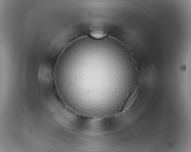 X0000112830136200908211225