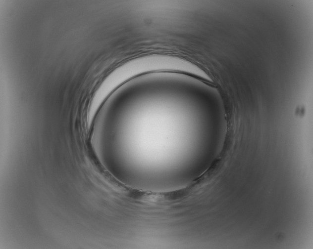 X0000112830137200908211225