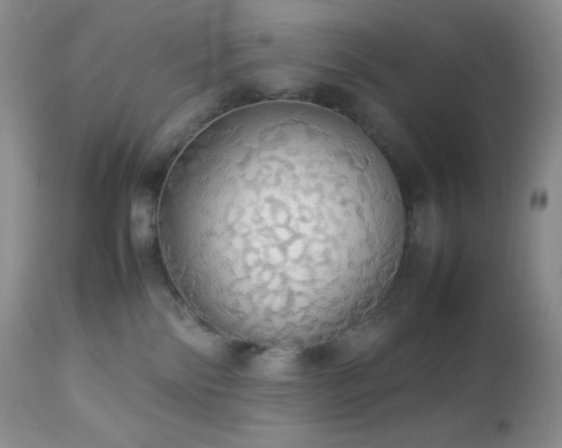 X0000112830138200908211225