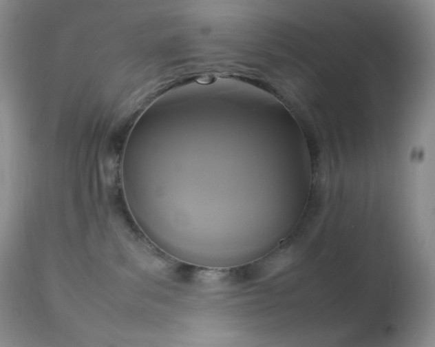 X0000112830139200908211225