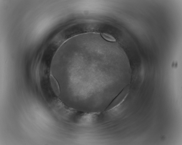 X0000112830140200908211225