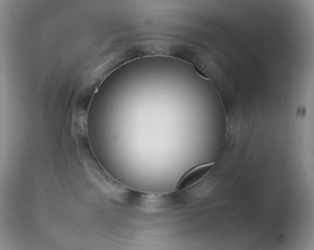 X0000112830141200908211225