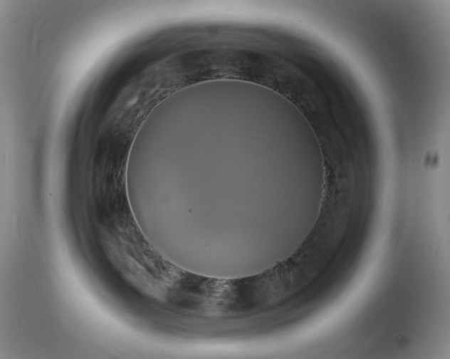 X0000112830143200908211225