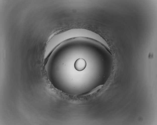 X0000112830144200908211225