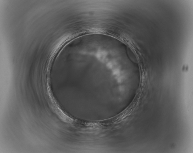 X0000112830145200908211225