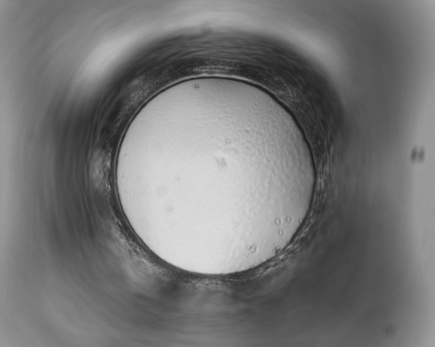 X0000112830146200908211225