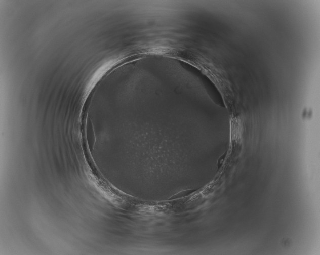 X0000112830147200908211225