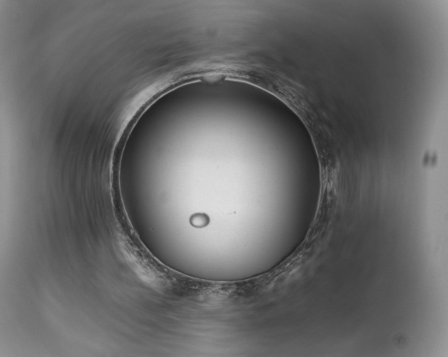 X0000112830148200908211225