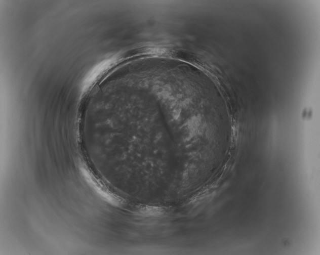 X0000112830149200908211225