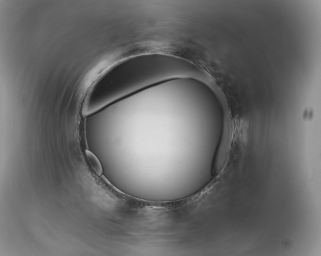 X0000112830150200908211225